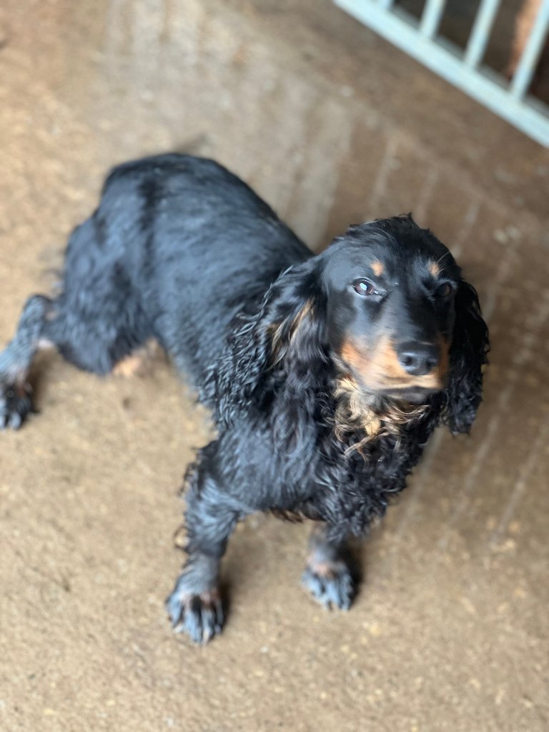 Maggie