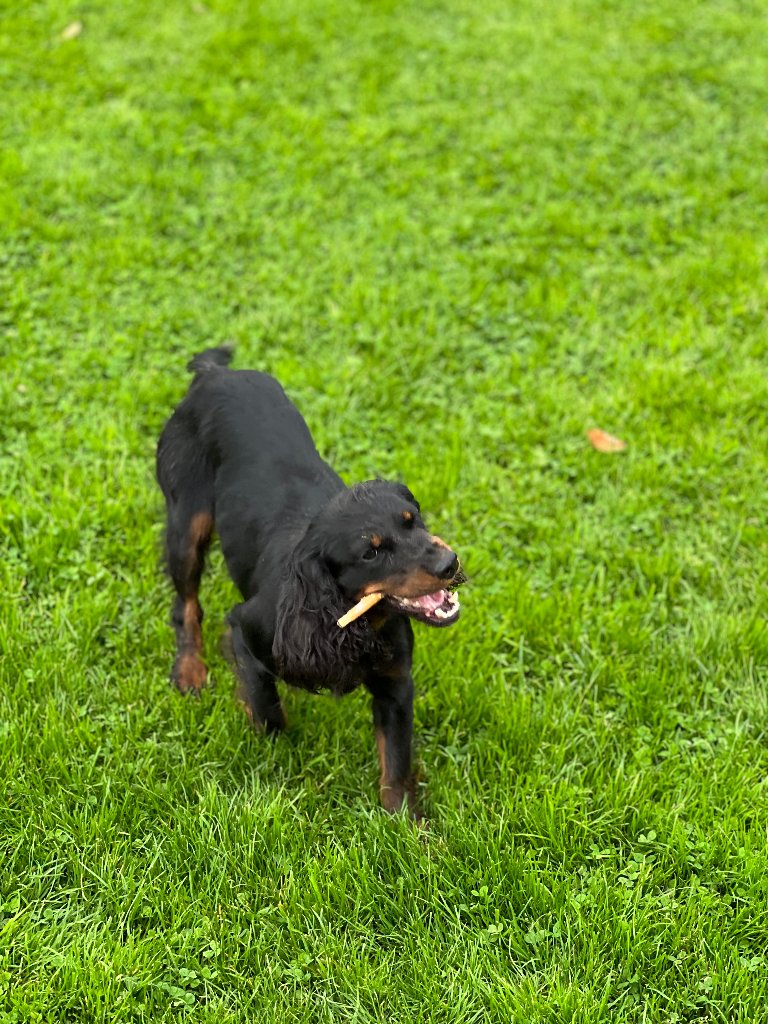 Maggie