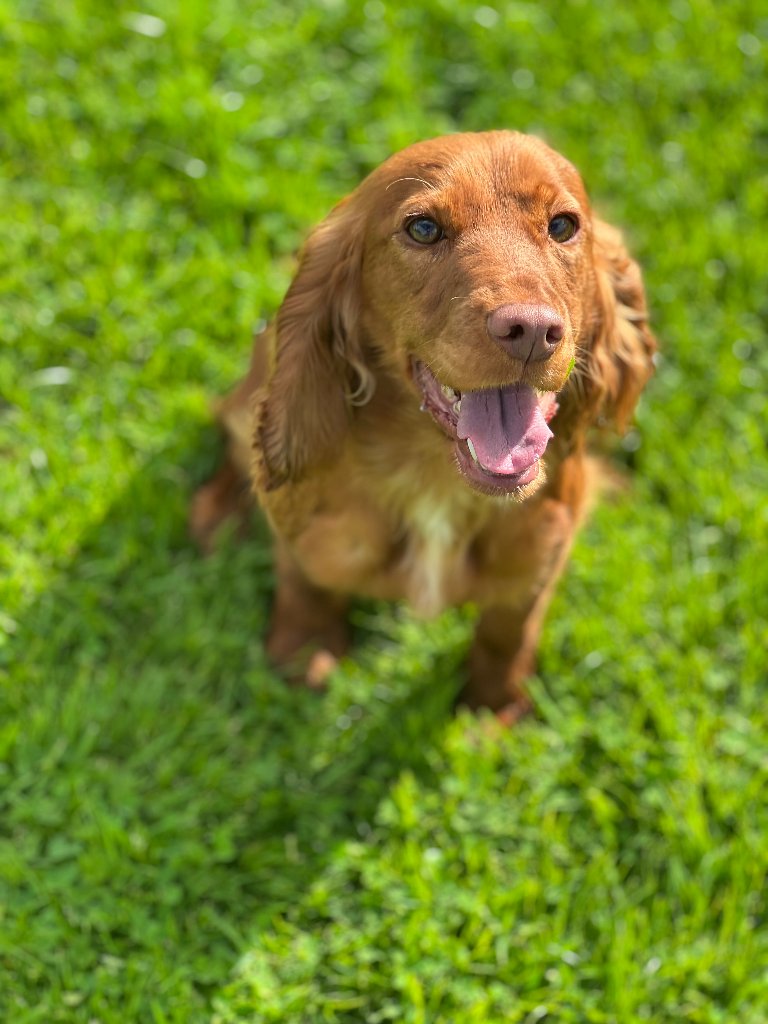 Molly