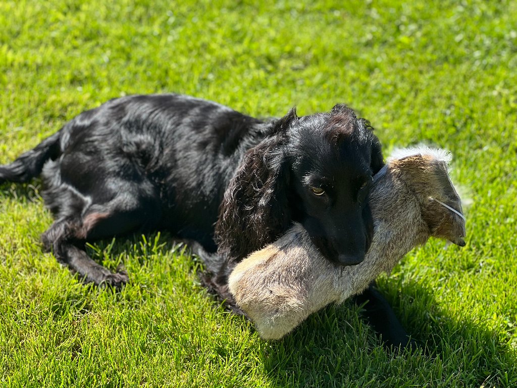 Coco
