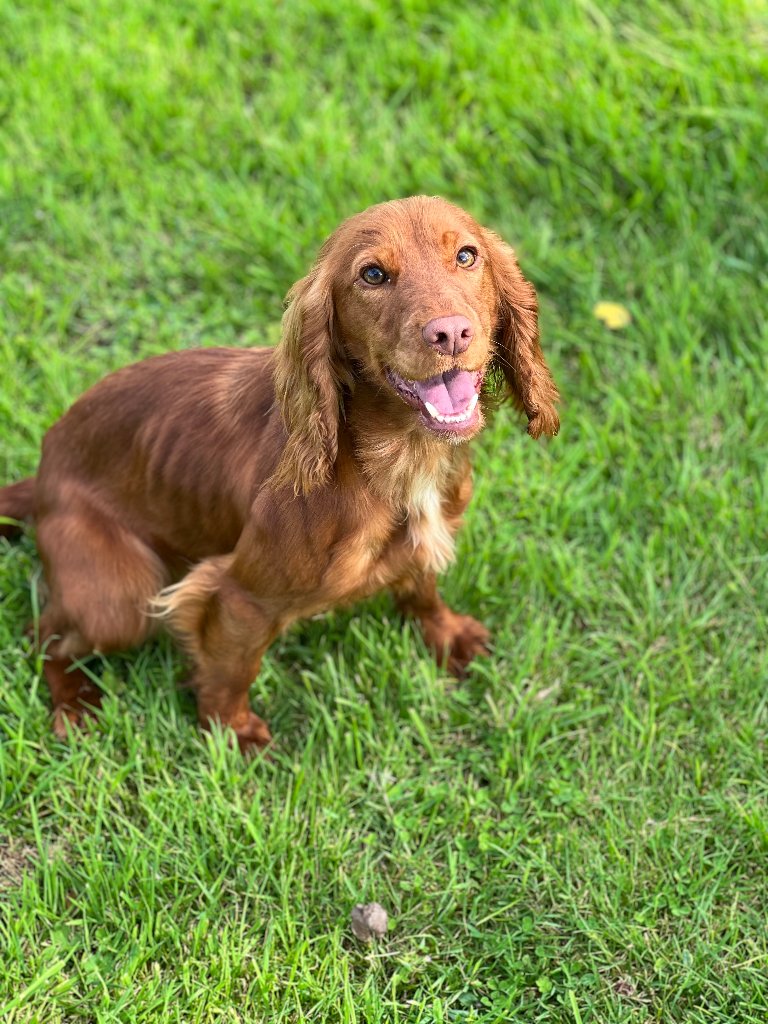 Molly