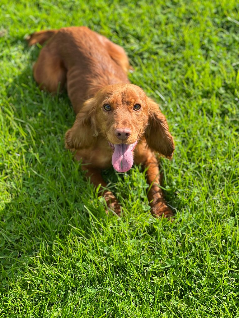 Molly