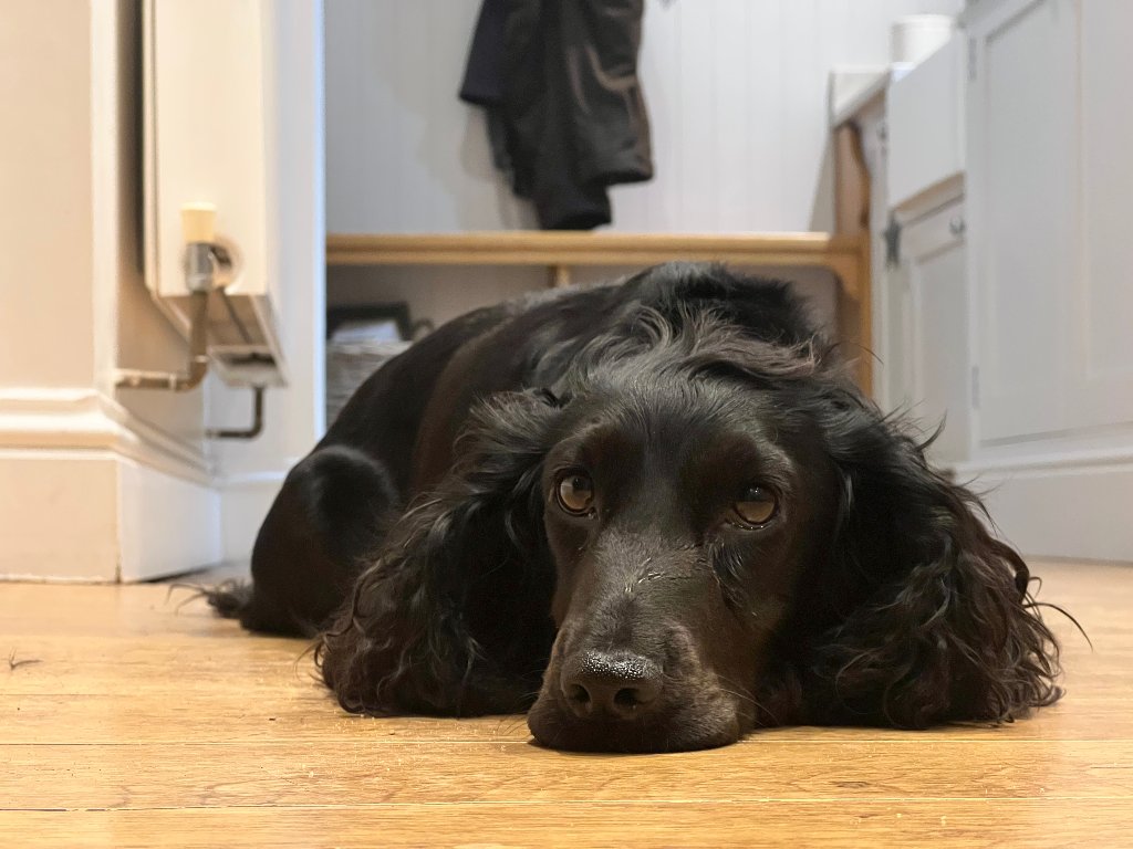 Coco