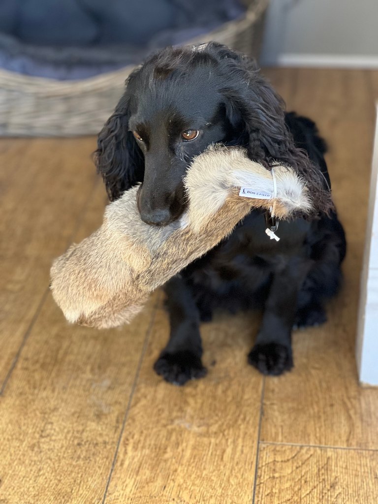 Coco