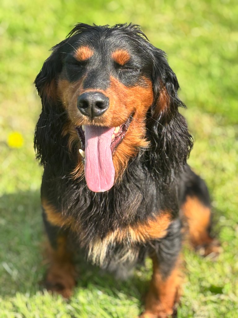 Rocky 10