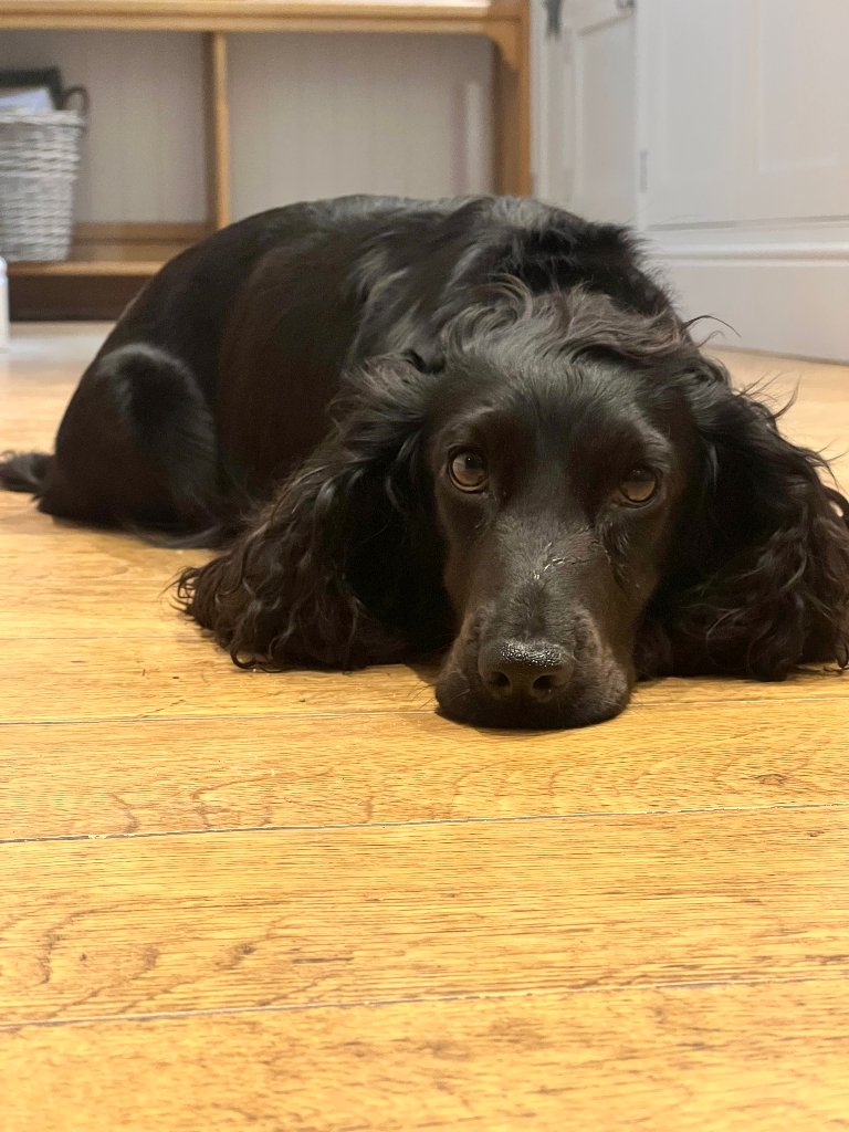 Coco