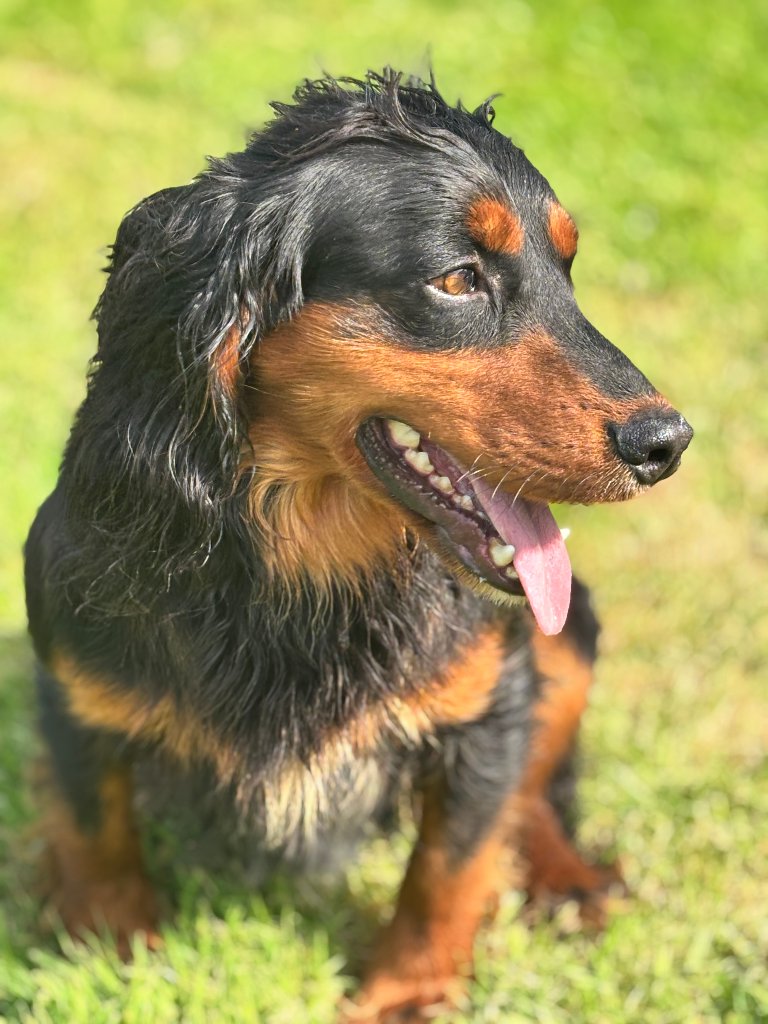 Rocky 9