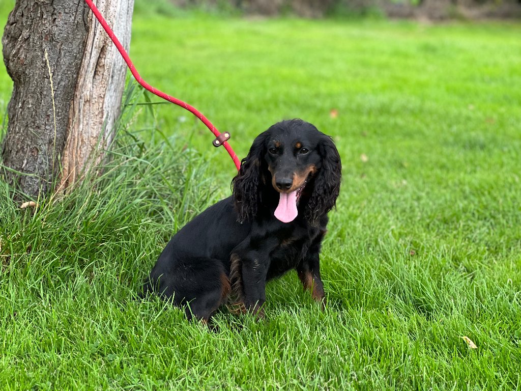 Maggie