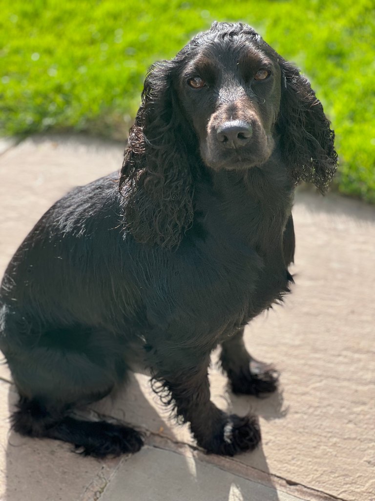 Coco