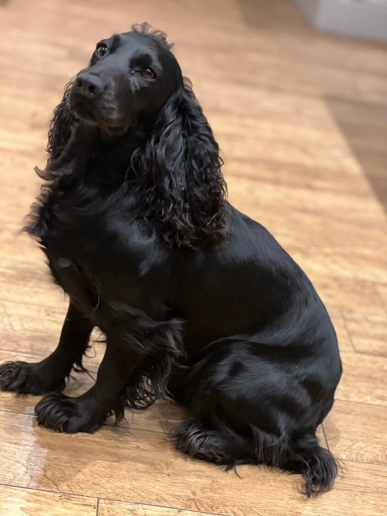 Coco