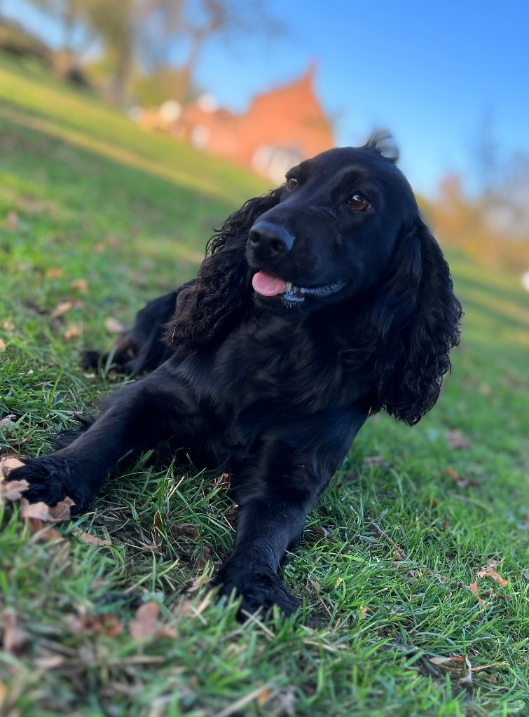 Betty