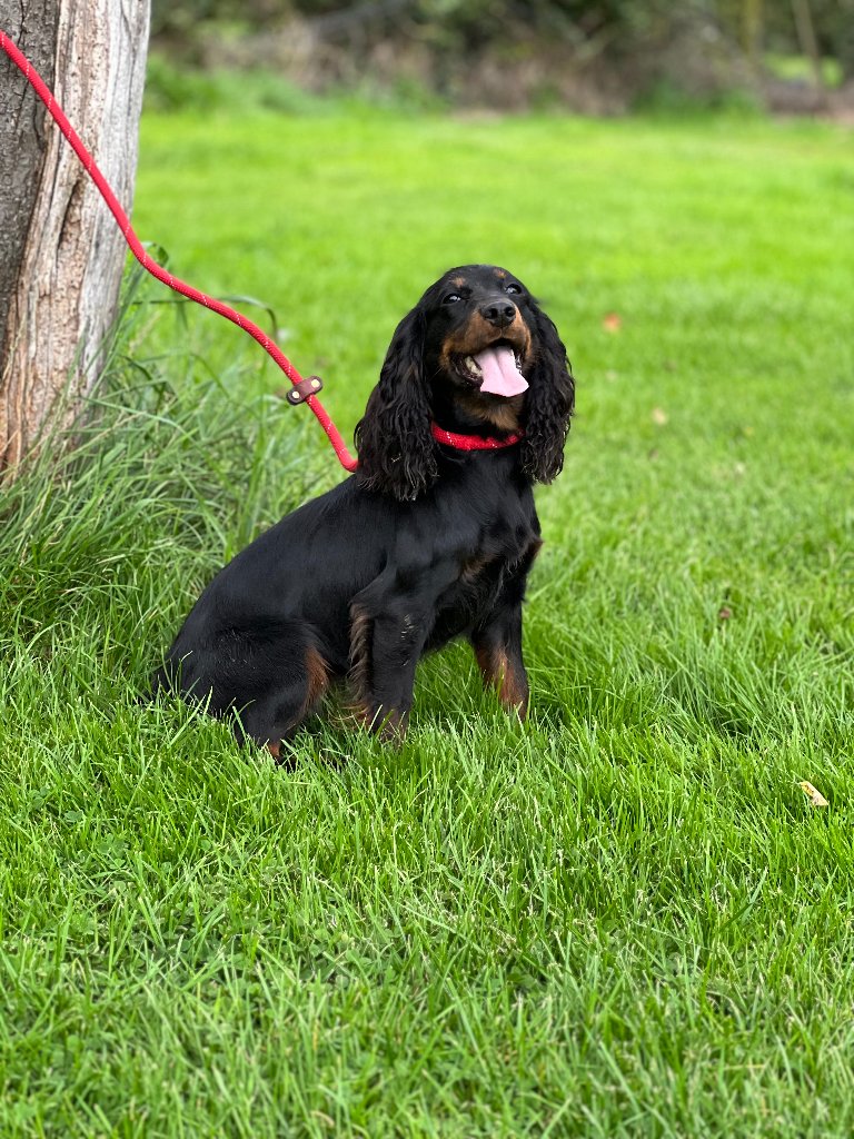 Maggie