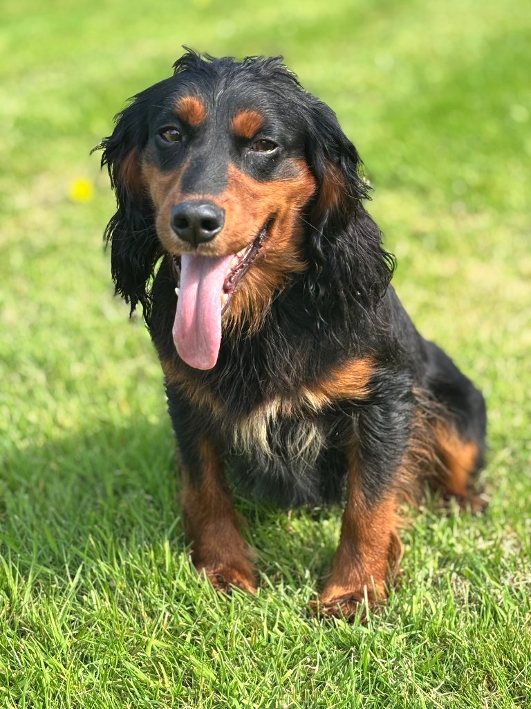 Rocky