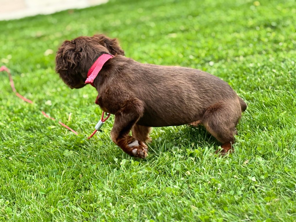 Minni