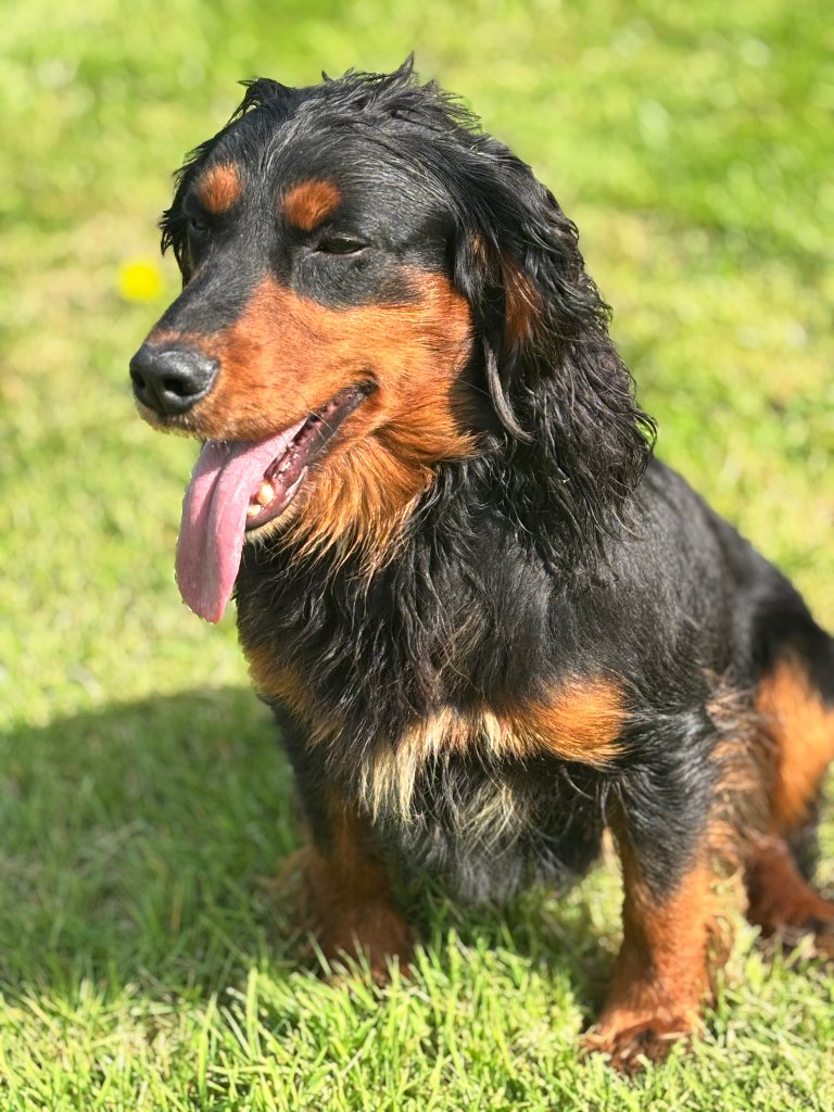Rocky 6