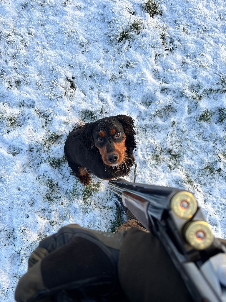 Rocky 15