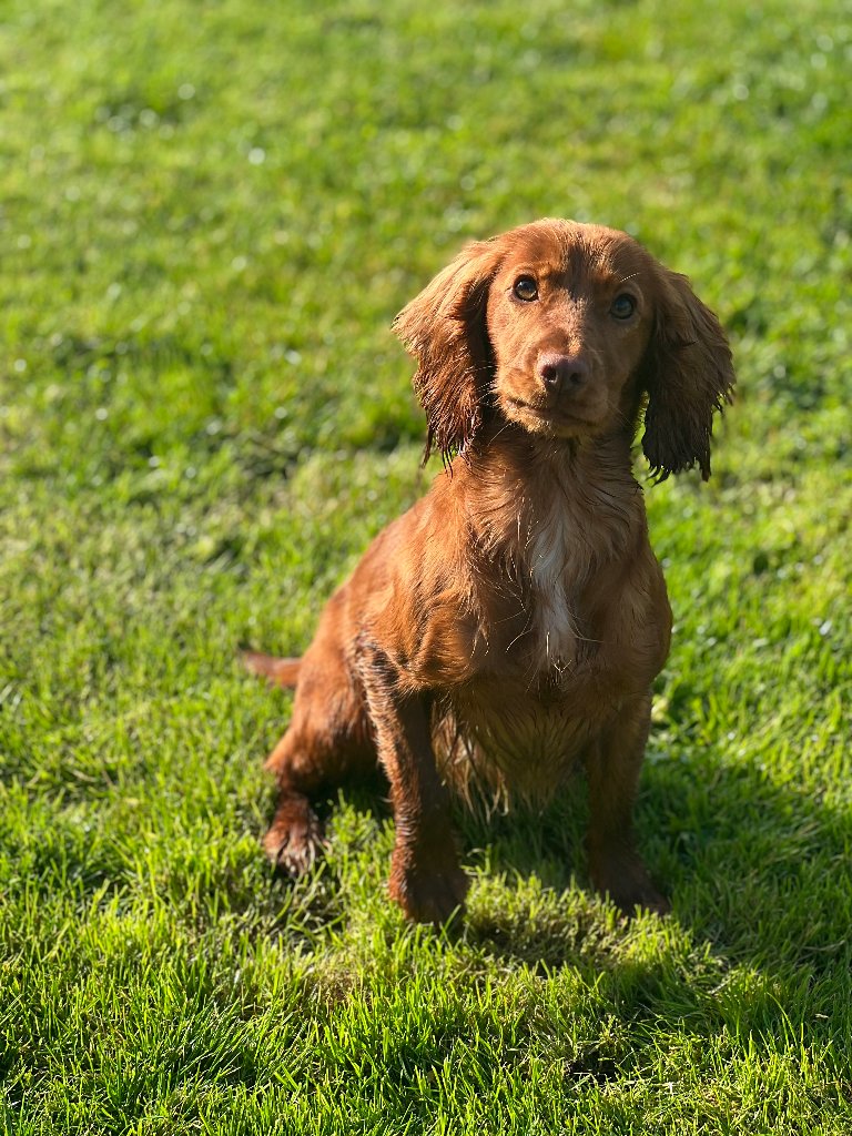 Molly