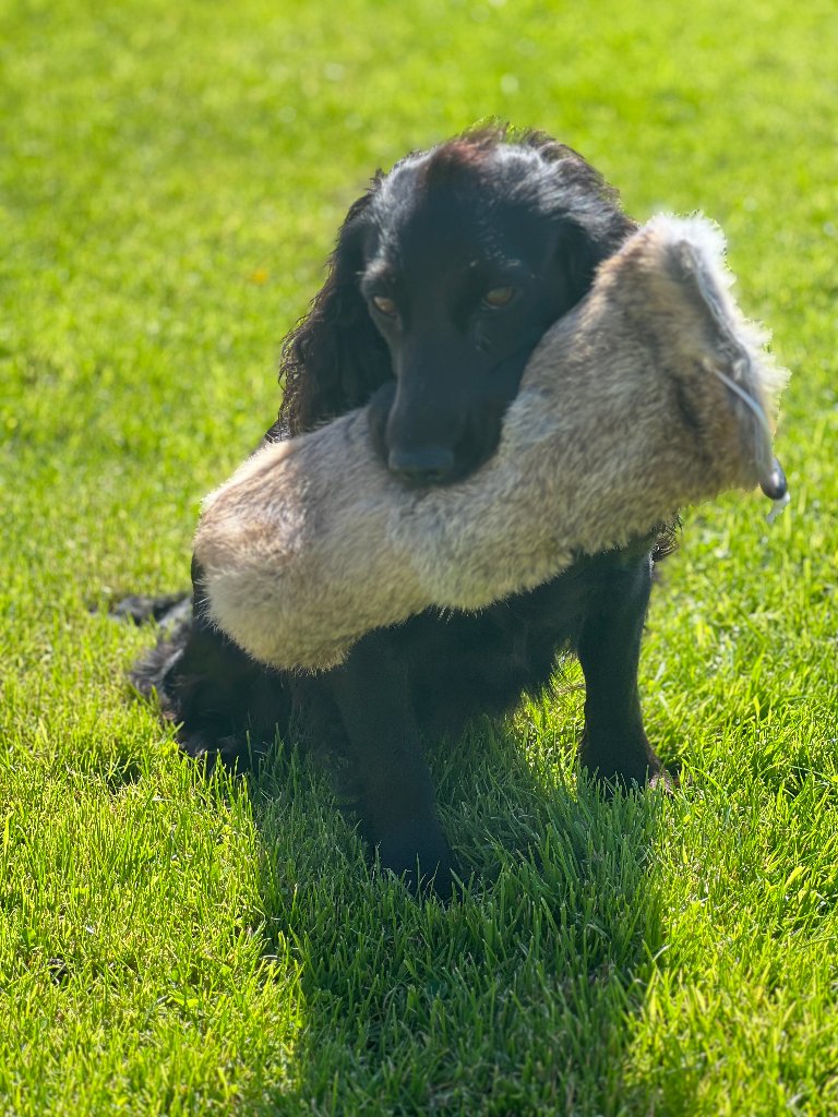Coco