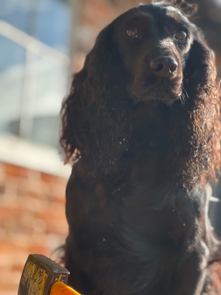 Coco