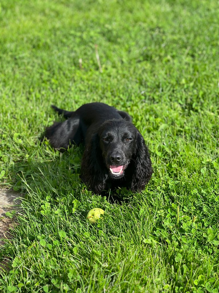Betty