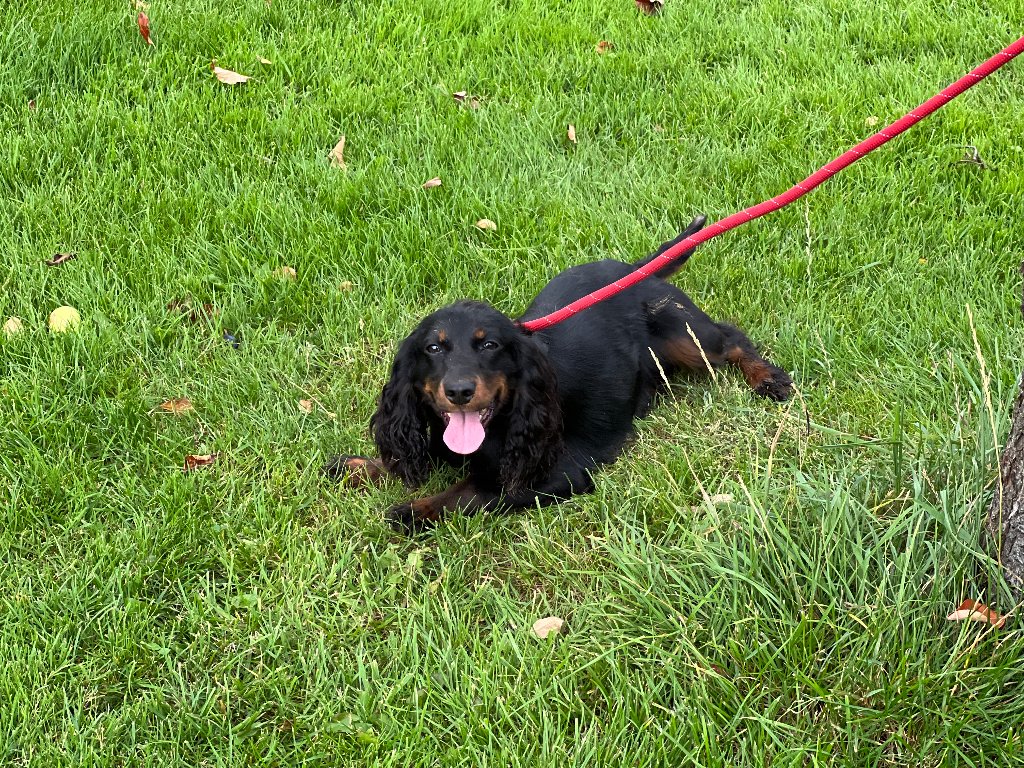 Maggie