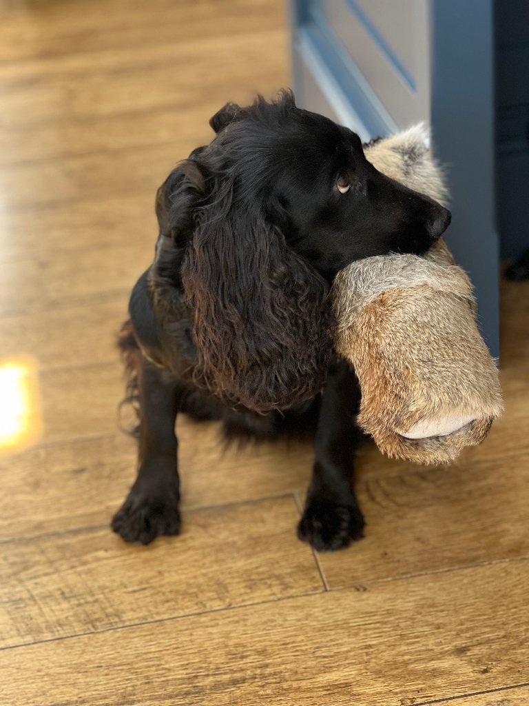 Coco