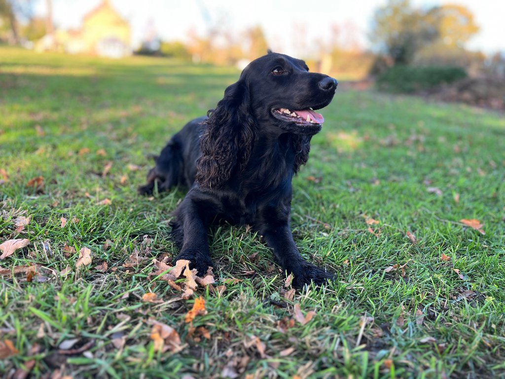 Betty