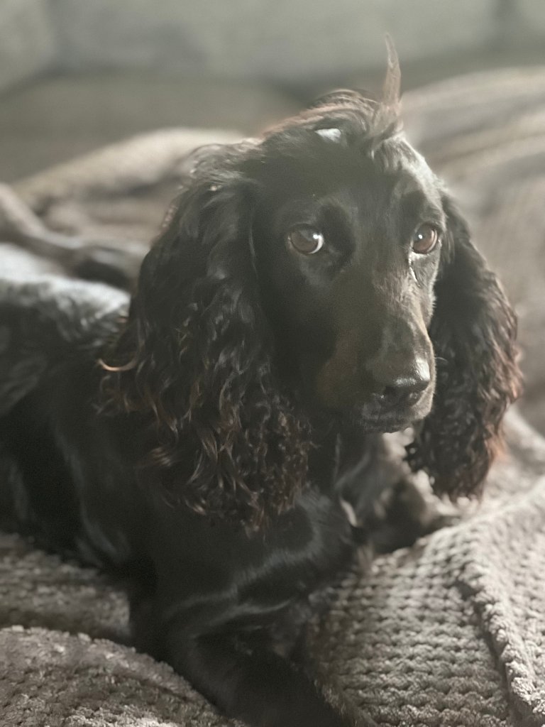Coco