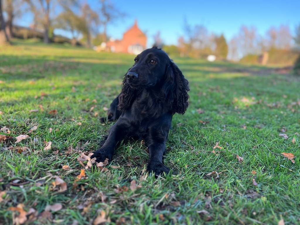 Betty