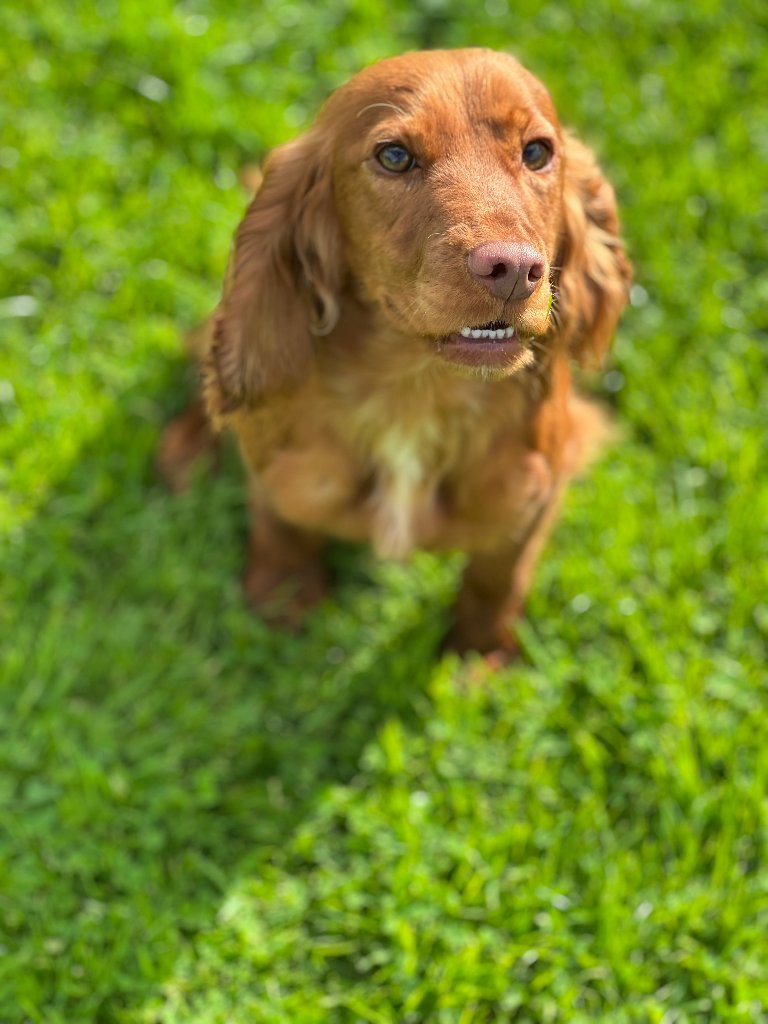 Molly