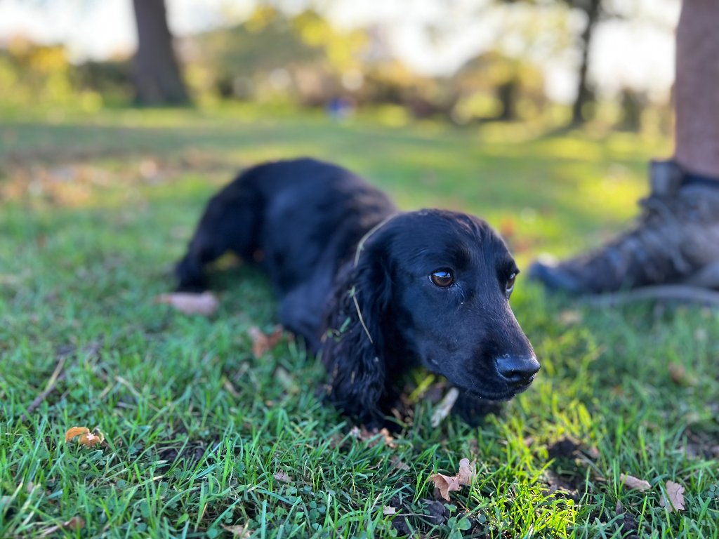 Betty