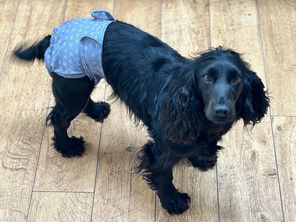 Coco