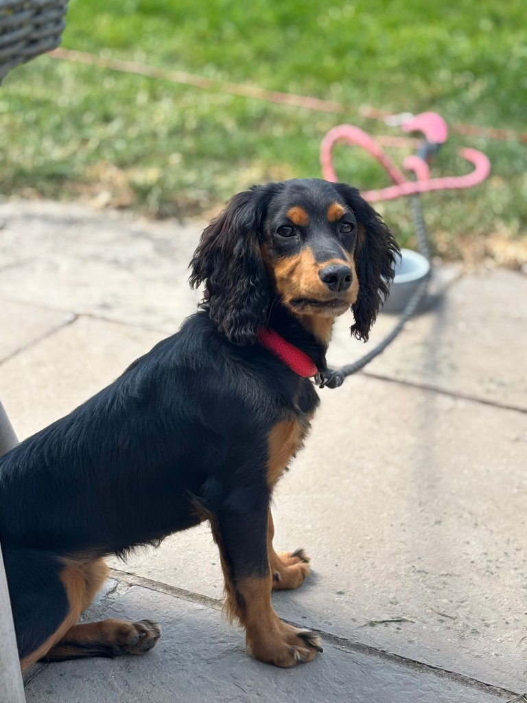 Lilly