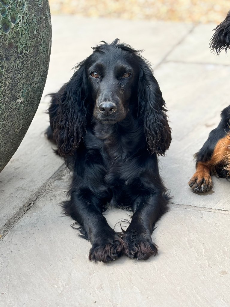 Coco
