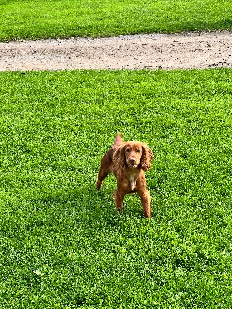 Molly