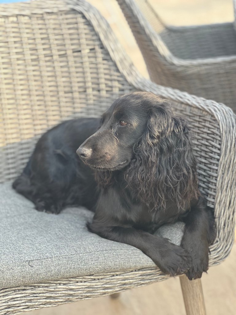 Coco