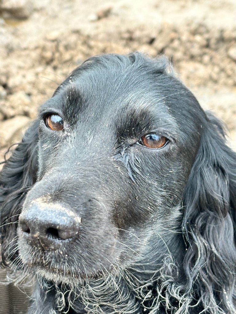 Coco