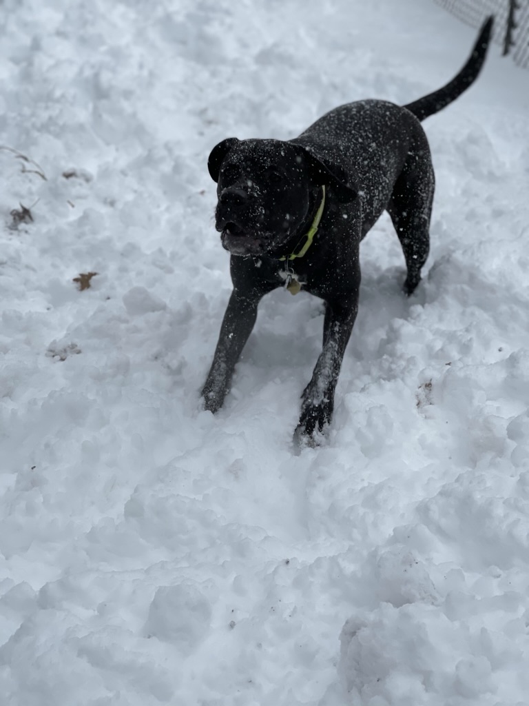 But he loves snow too