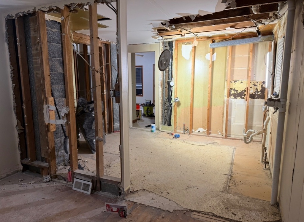 Kitchen Gut & Rebuild - Before