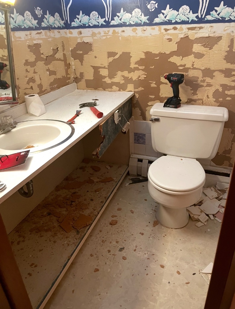 Bathroom Renovation - Before
