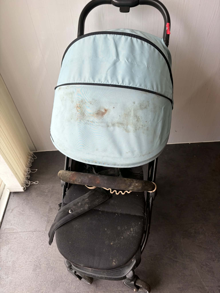 Hauck Buggy — Before