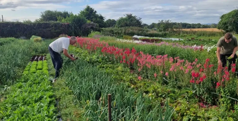 How Farming Almost Lost Its Soul