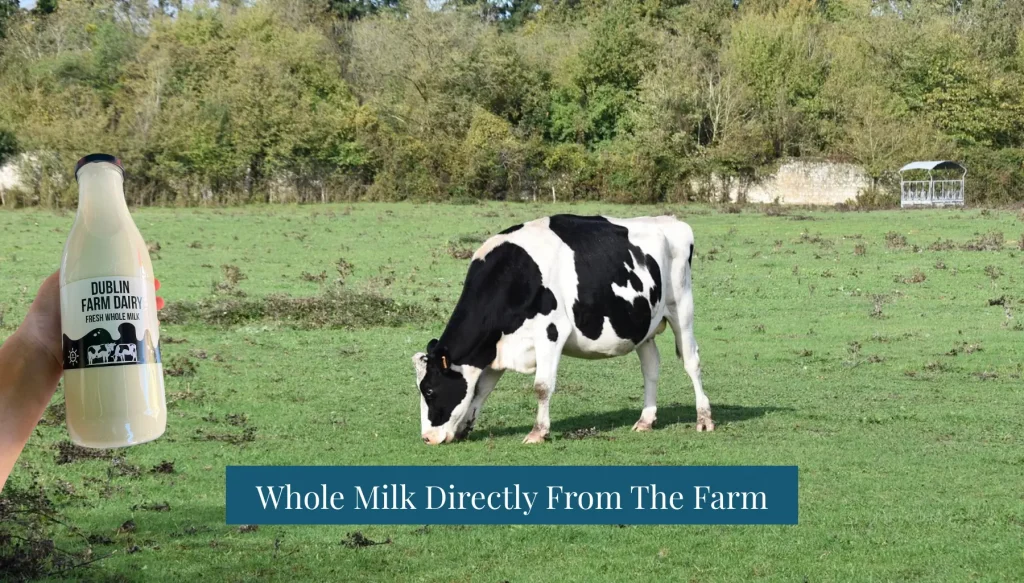 Buying Whole Milk In North CO Dublin