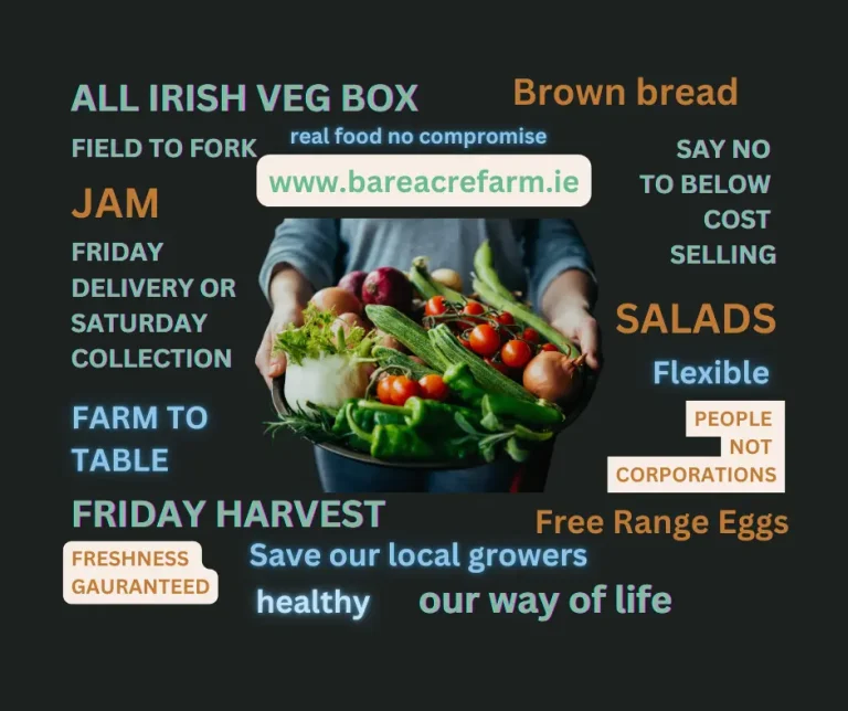 Fresh, Seasonal, and Thoughtfully Curated: A Look at Bare Acre Veg Boxes