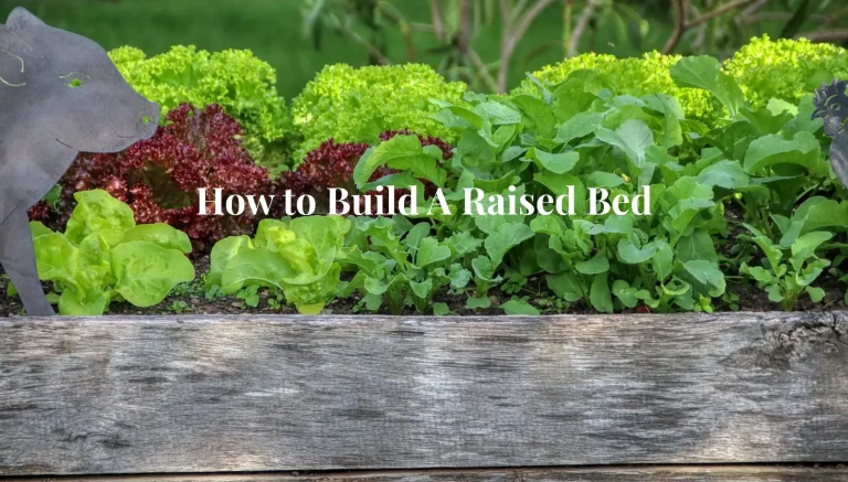 Build A Raise Garden Bed For Your Veg