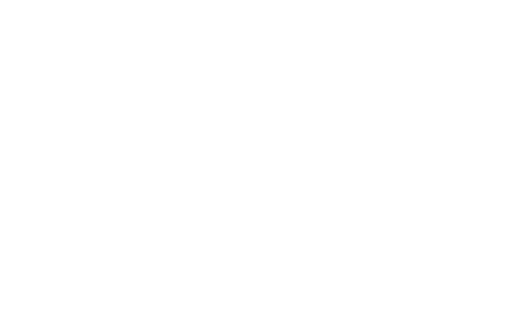 Official Selection – Toronto International Women's Film Festival 2021