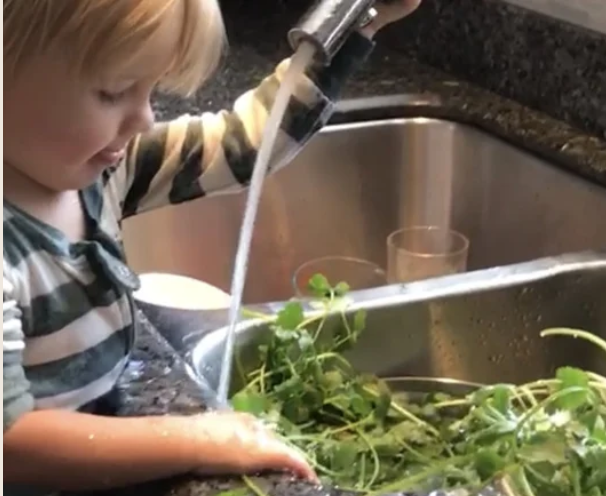 Child washing greens at the sink