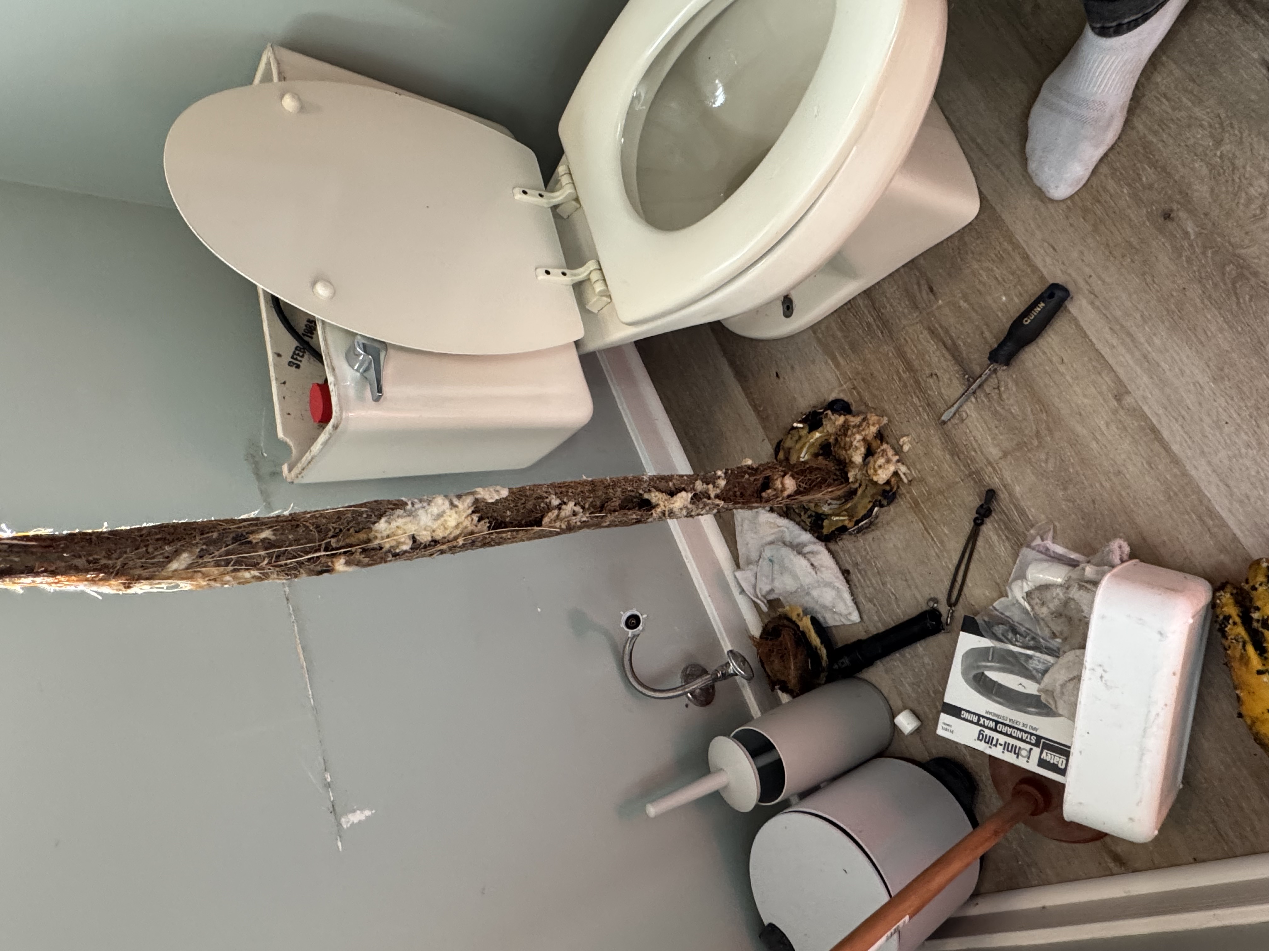 Extracted from the sewer line