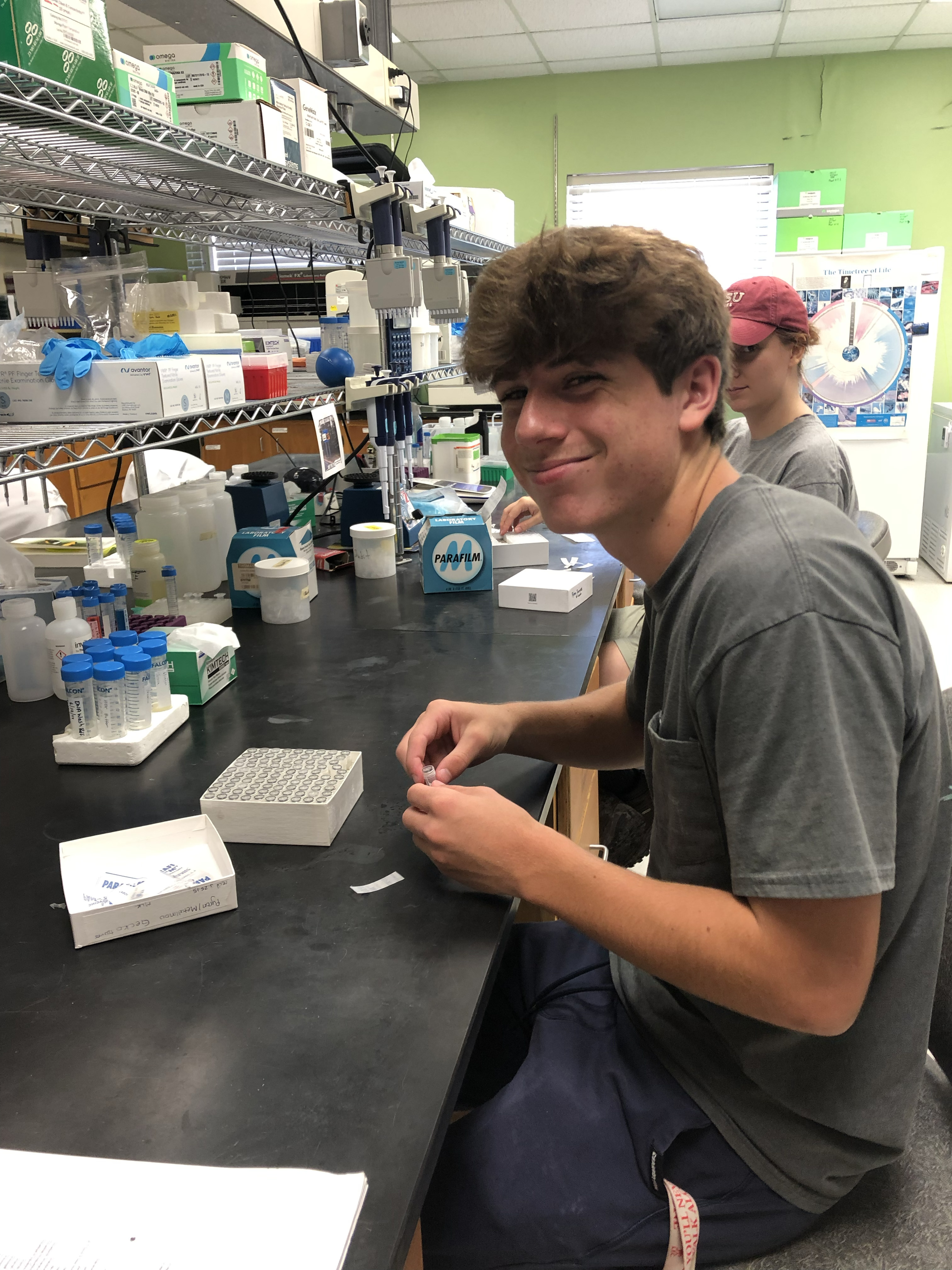 Jack Daunt working in the lab, June 2024