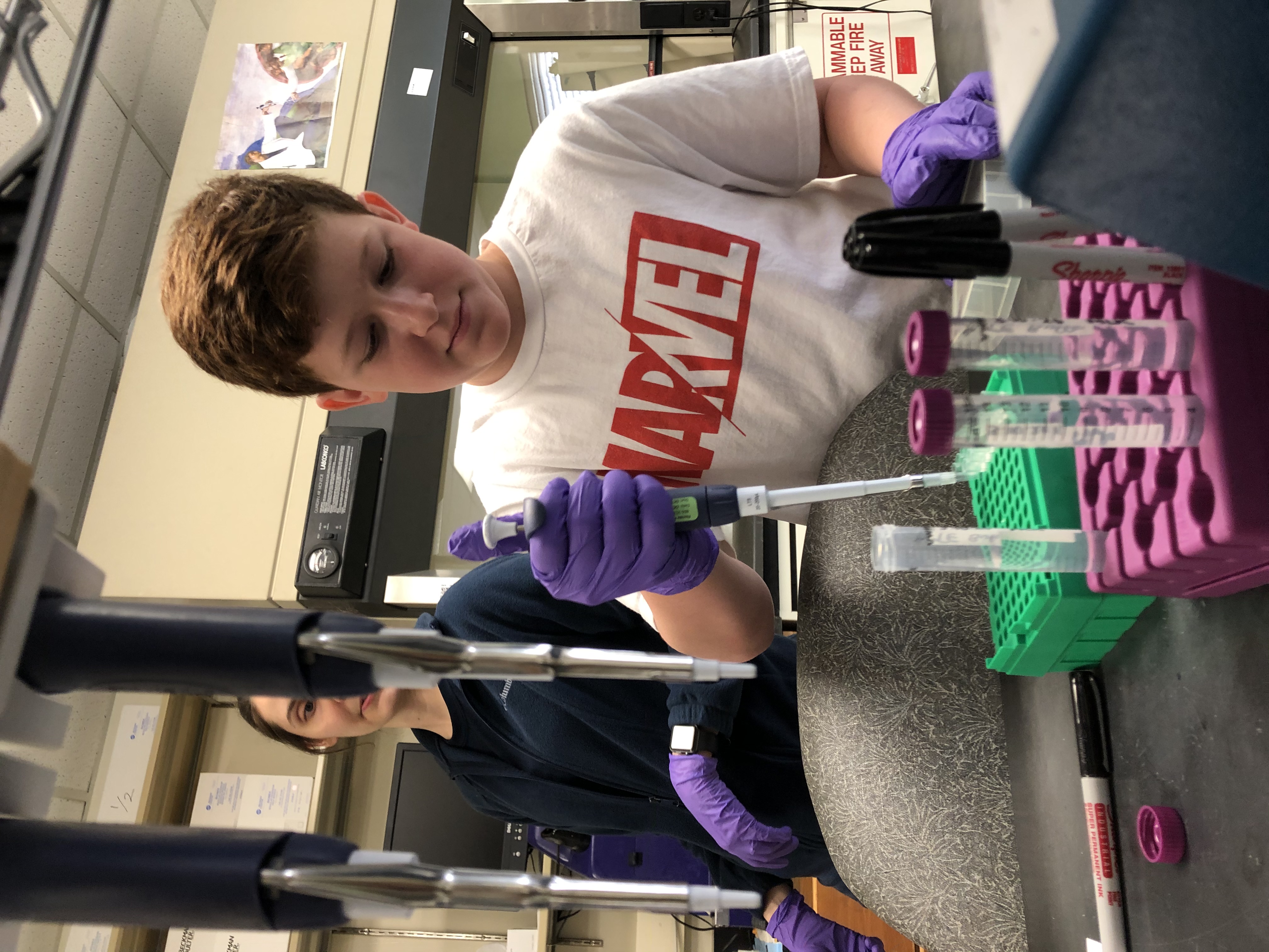 Lab day: Young scientist at work